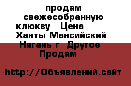 продам свежесобранную клюкву › Цена ­ 150 - Ханты-Мансийский, Нягань г. Другое » Продам   